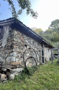 Foto sull'esperienza al mulino